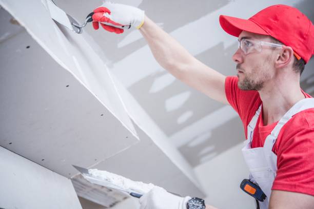 Best Water-Damaged Drywall Repair  in Hornell, NY